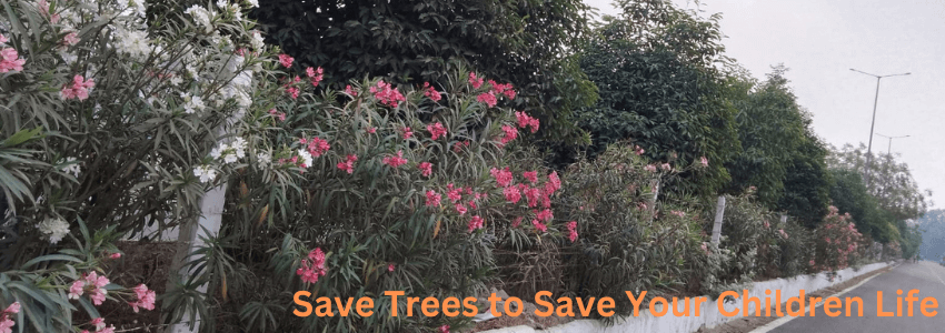 Save Trees to Save Your Children Life