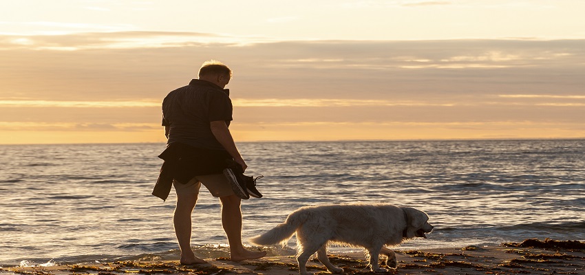 One Man, One Dog, and a Journey Across the Globe